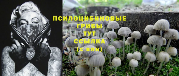 прущая мука Нефтегорск